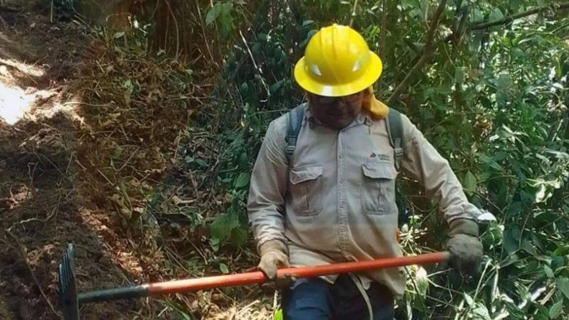 Las organizaciones señalaron un desatino ante la remoción